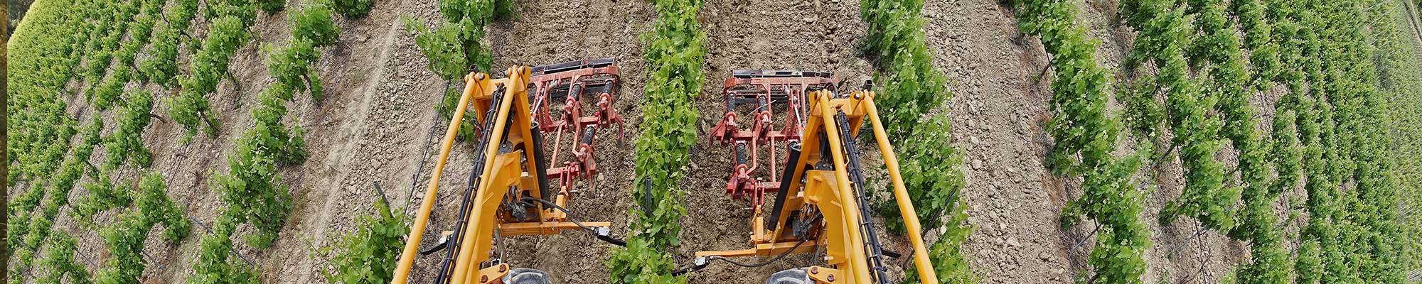 Blog Header_viniculture1