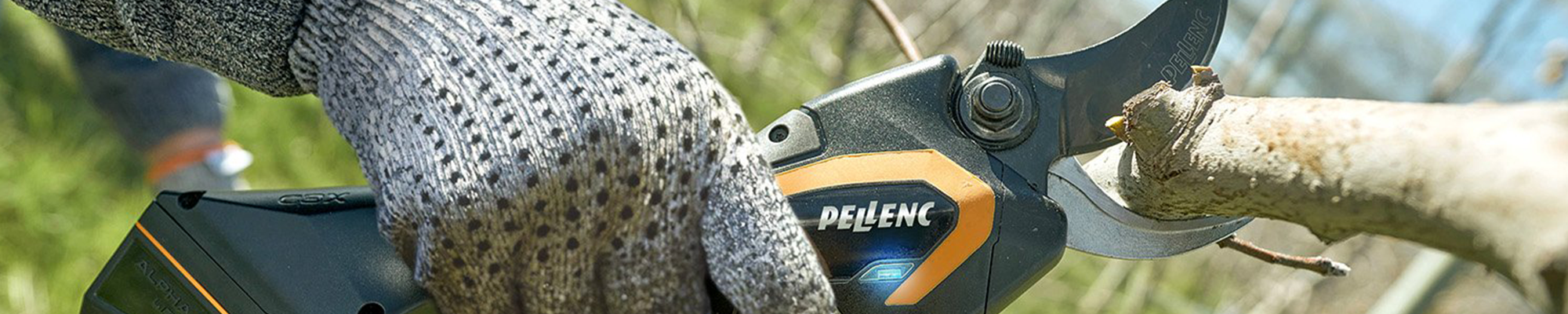 Pruner Blog Header_1
