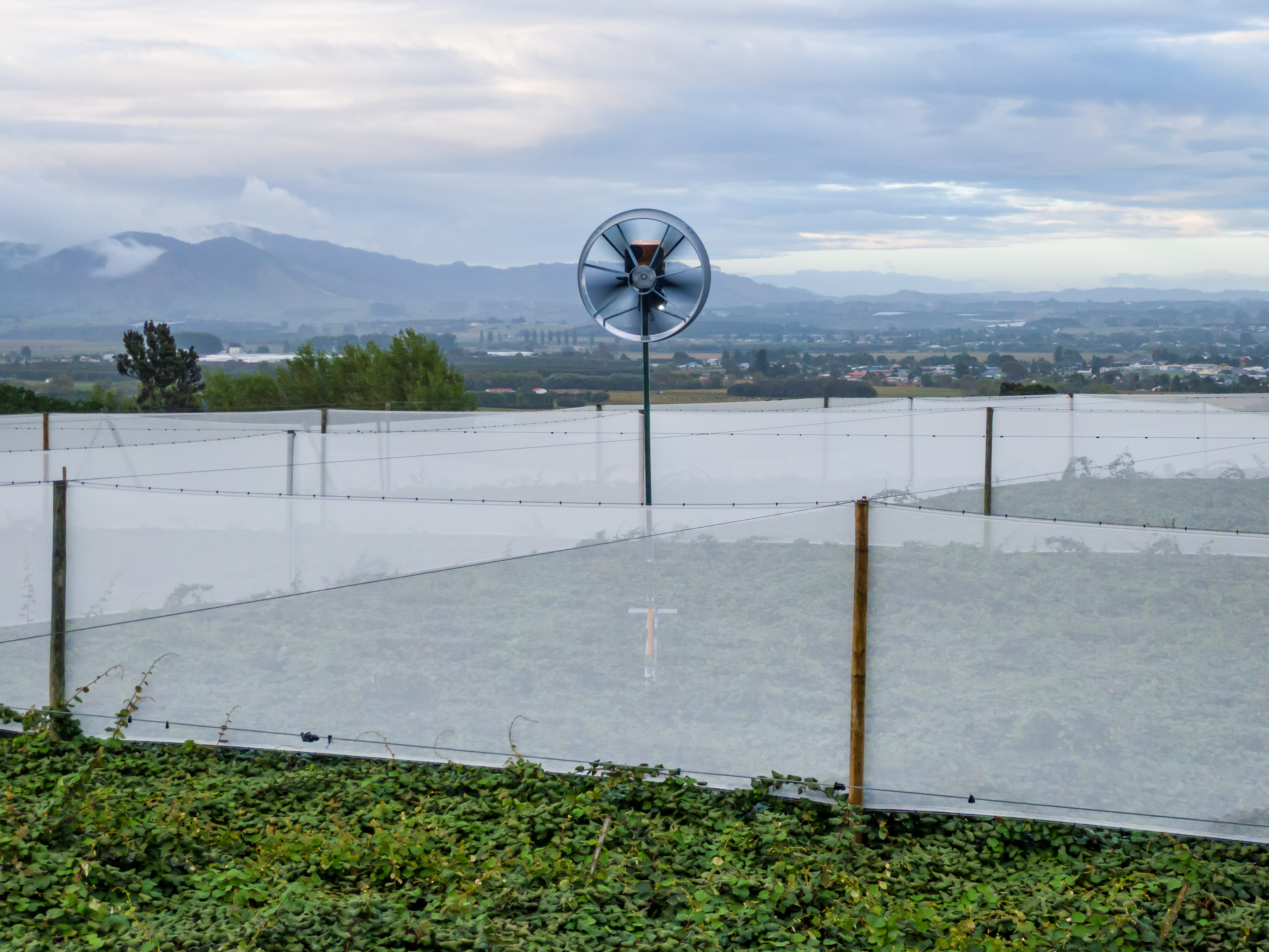 frost fan in kiwifruit orchard